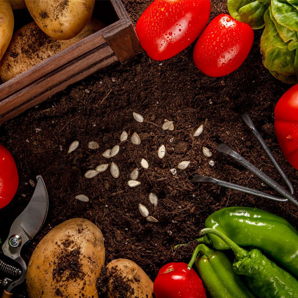Agro & Food